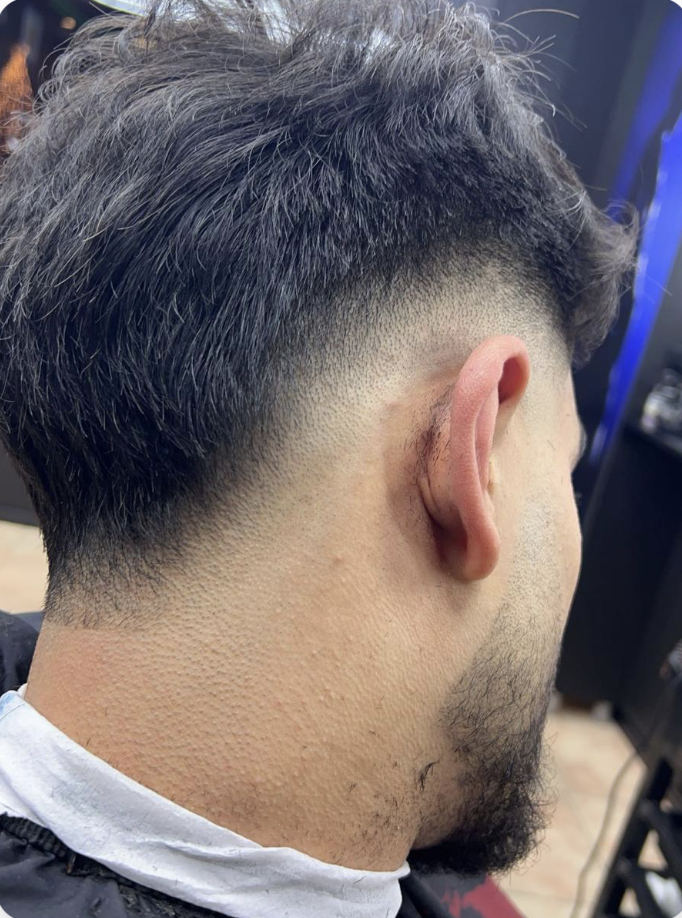 Textured Mullet